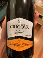 Cricova - Moldova Brut NV (750ml) (750ml)