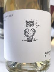 Early Mountain - Young Wine Vidal Blanc 2021 (750ml) (750ml)
