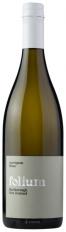 Folium - Sauvignon Blanc 2022 (750ml) (750ml)