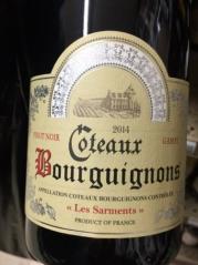 Les Sarments - Coteaux Bourguignons 2020 (750ml) (750ml)