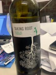 Radicini - Taking Root Blanc de Cabernet 2022 (750ml) (750ml)