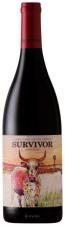 Survivor - Pinotage 2019 (750ml) (750ml)