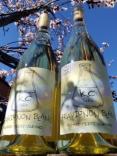 Kivelstadt Cellars - KC Labs Orchard Meets Vineyard Sauvignon Blanc 2022 (750)